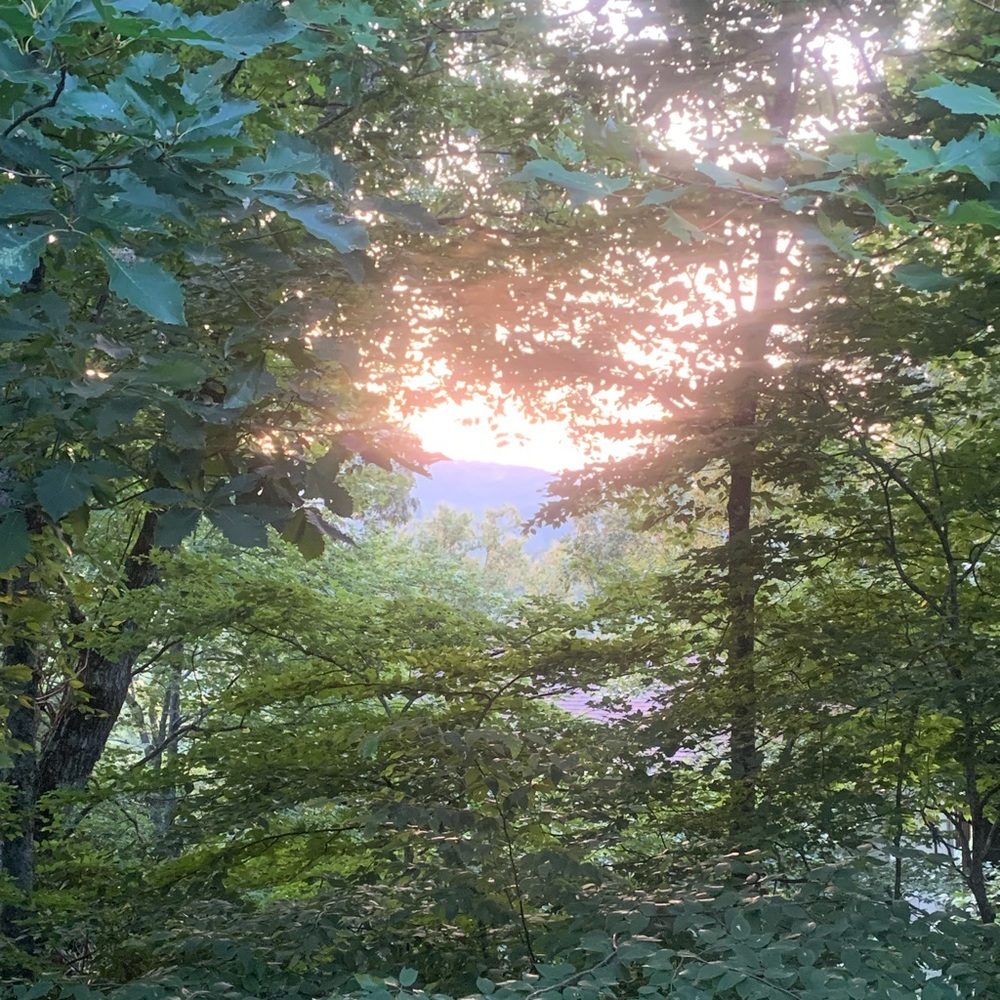 Meet your Posher, Niki